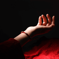KyLin seefire - wishing-you-wealth-and-protection-Using Feng Shui and Qimen Dunjia to help you achieve a better life